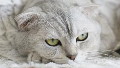 九游网页版-备战U20女足亚预赛 中国U20女足集训名单正式公布